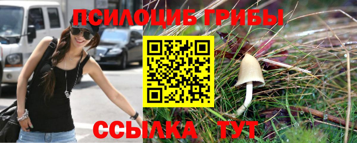Галлюциногенные грибы MAGIC MUSHROOMS  Вход с VPN  Пыть-Ях  Псилоцибиновые грибы Magic Shrooms 